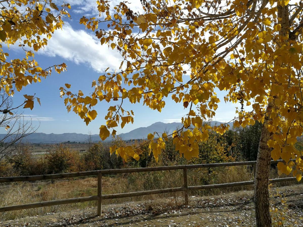 Benissuera Casa Rural L'Avia Tica旅馆 外观 照片